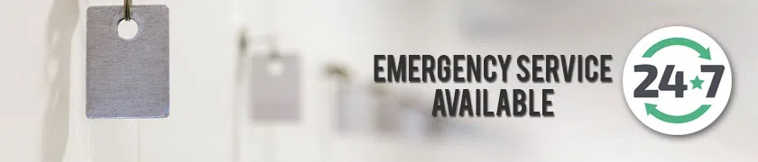 Blue Bell PA Locksmith Store Blue Bell, PA 484-273-0230 - emr-cont-img